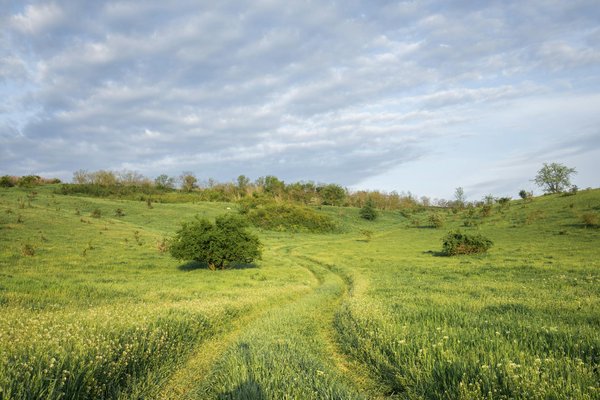 Comment planifier une visite des temples jainistes en Inde ?